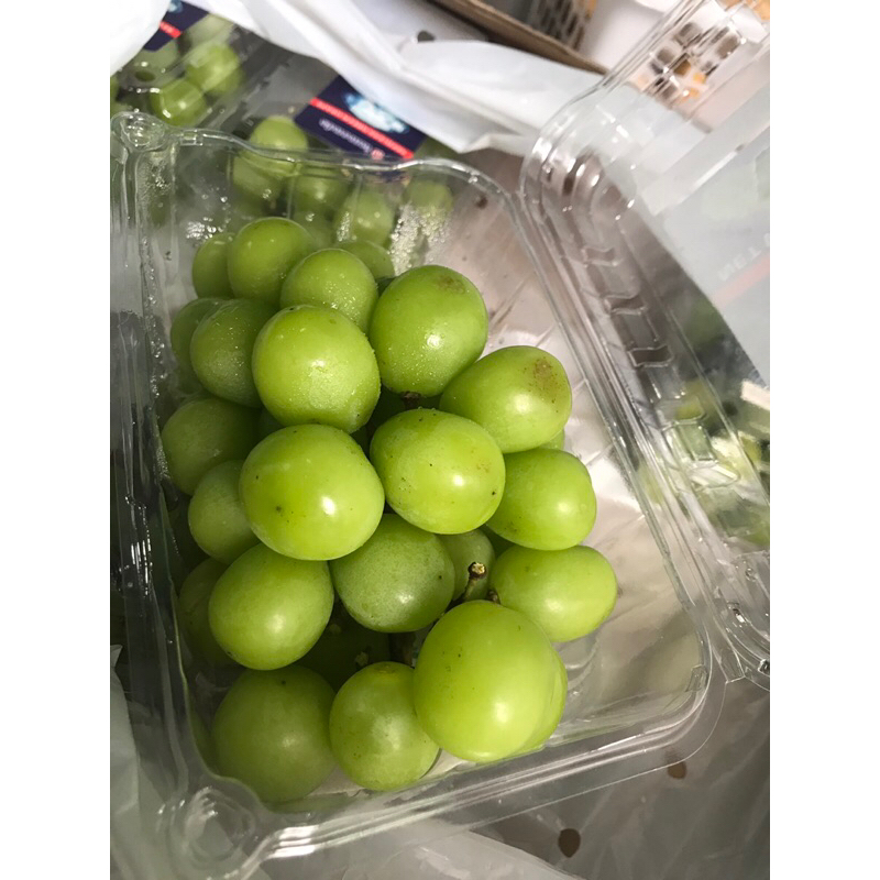 

anggur shine muscat pack