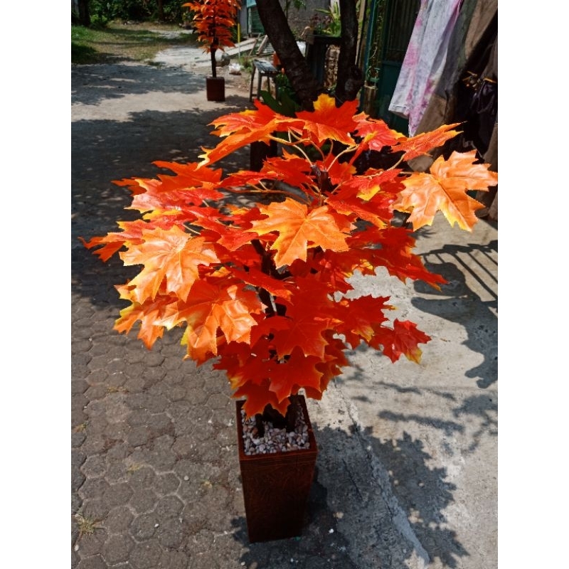 Pohon Maple Artificial Dekorasi Sudut Ruangan