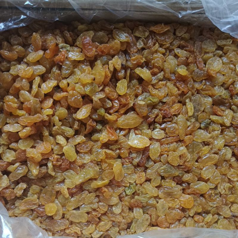 

kismis Arab kuning Asam Manis 500 gram