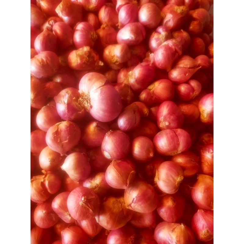 bawang merah 1/2 kg