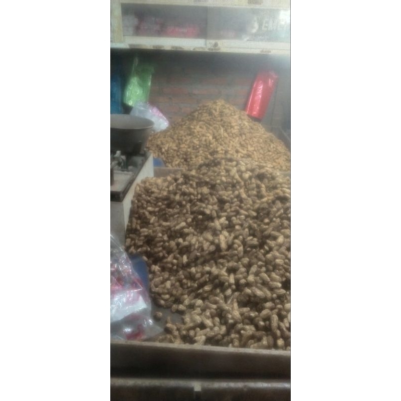 

kacang tanah mentah