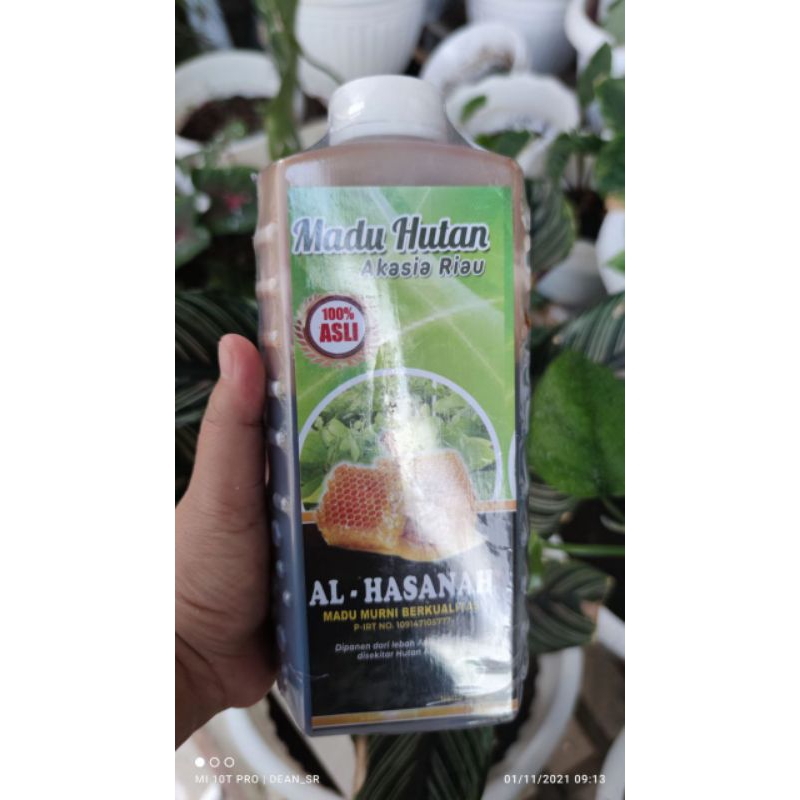 

1kg Madu Hutan Asli Akasia Riau Al-Hasanah Original Murni 100%