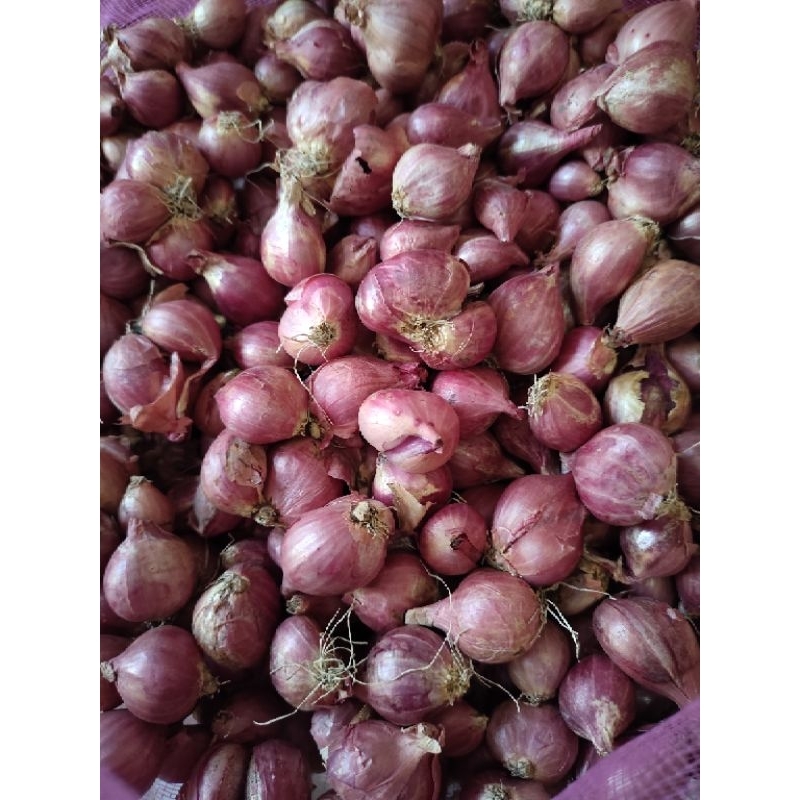 

Bawang Merah Brebes Murah 1/2 kg