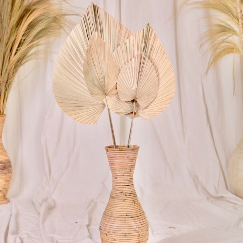 TERMURAH  GROSIR DAUN PALEM KERING/ DAUN PALM KERING  Daun Palem Jumbo Besar Dekorasi Daun Palem Ker