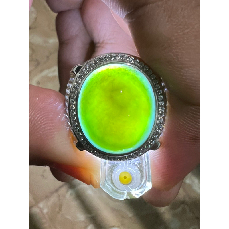 natural bacan doko coklat HQ