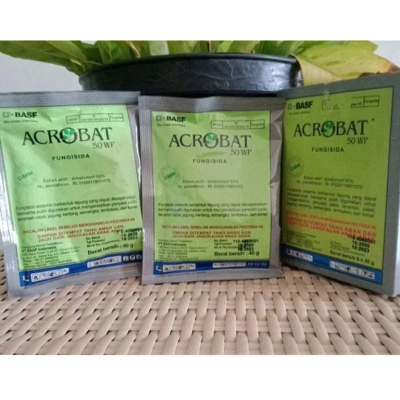 acrobat 50wp-40gr