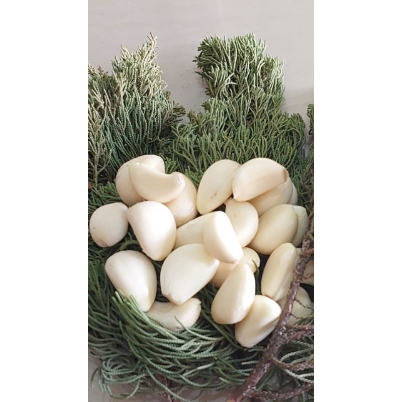 

Bawang putih Sinco Kupas bersih