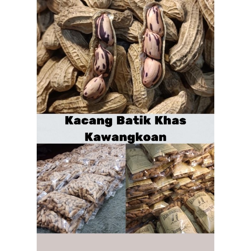 

Kacang Kawangkoan, Kacang Batik, Kacang Tore Manado