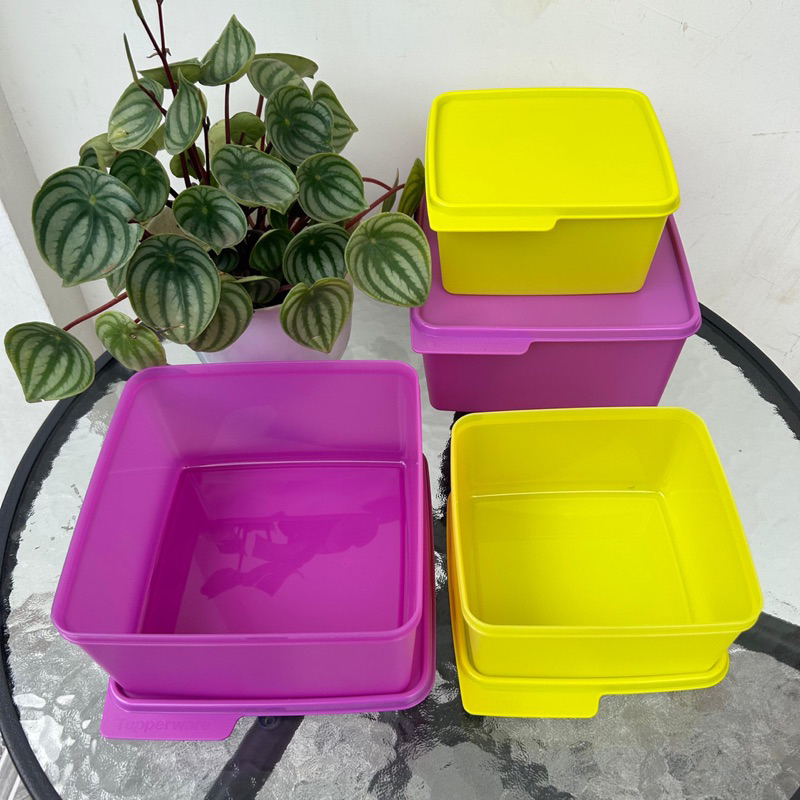 Cozy nest tupperware (kotak penyimpanan tupperware)