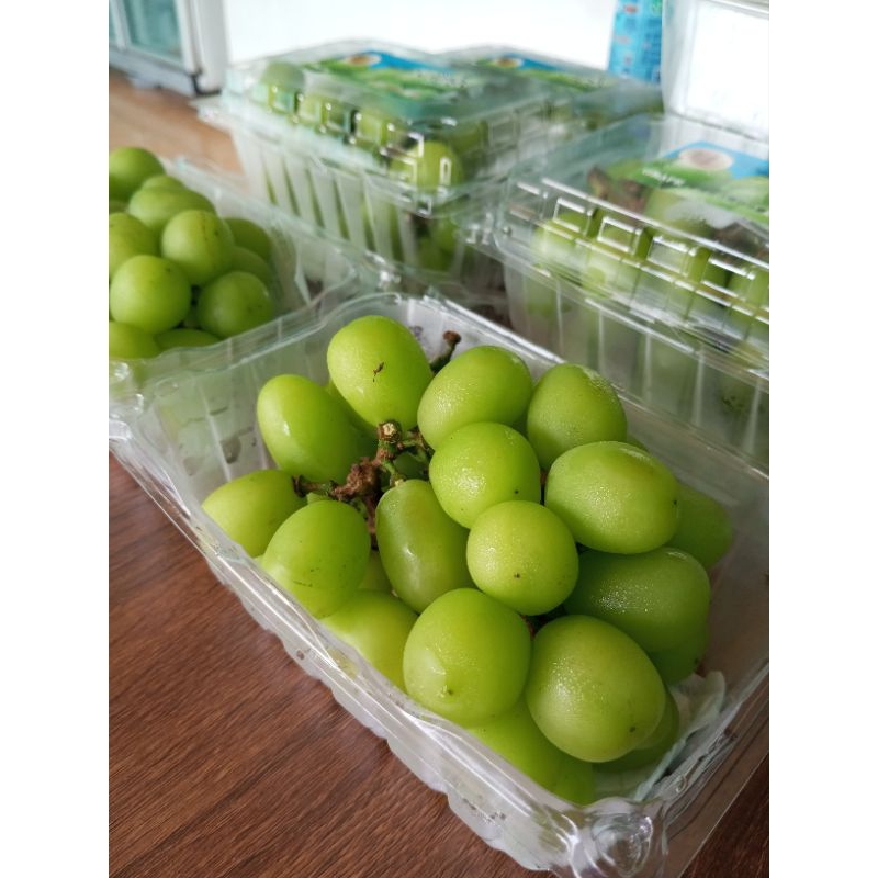 

Anggur Hijau Shine Muscat Jepang FRESH // Anggur non biji (500gram=box)