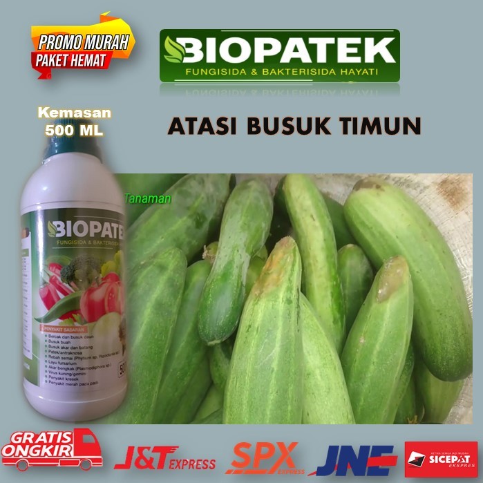 Pupuk Atasi Busuk Pada Buah Timun - Pupuk Anti Busuk Sayuran Timun - Pupuk Cair 500 Ml Cegah Busuk T