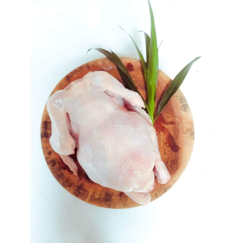 

ayam pkk 1kg