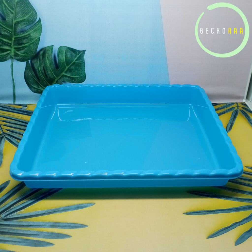 Nampan Kandang Serangga Ulat Hongkong Ulat Jerman Tempat Gutload Serangga Dubia Ulat