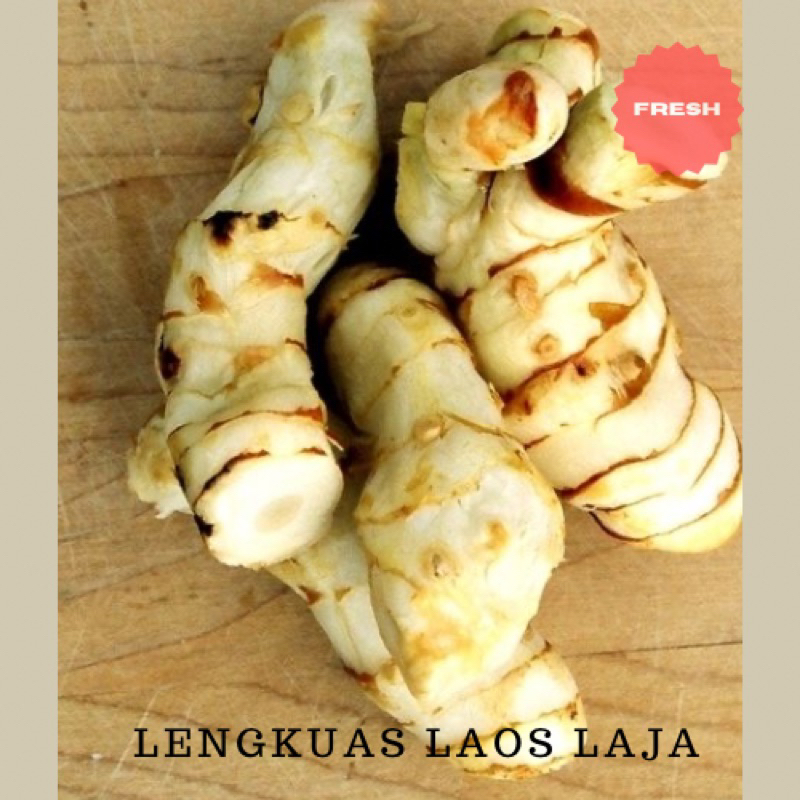 

Lengkuas Laja Laos Rempah Fresh 100 gram
