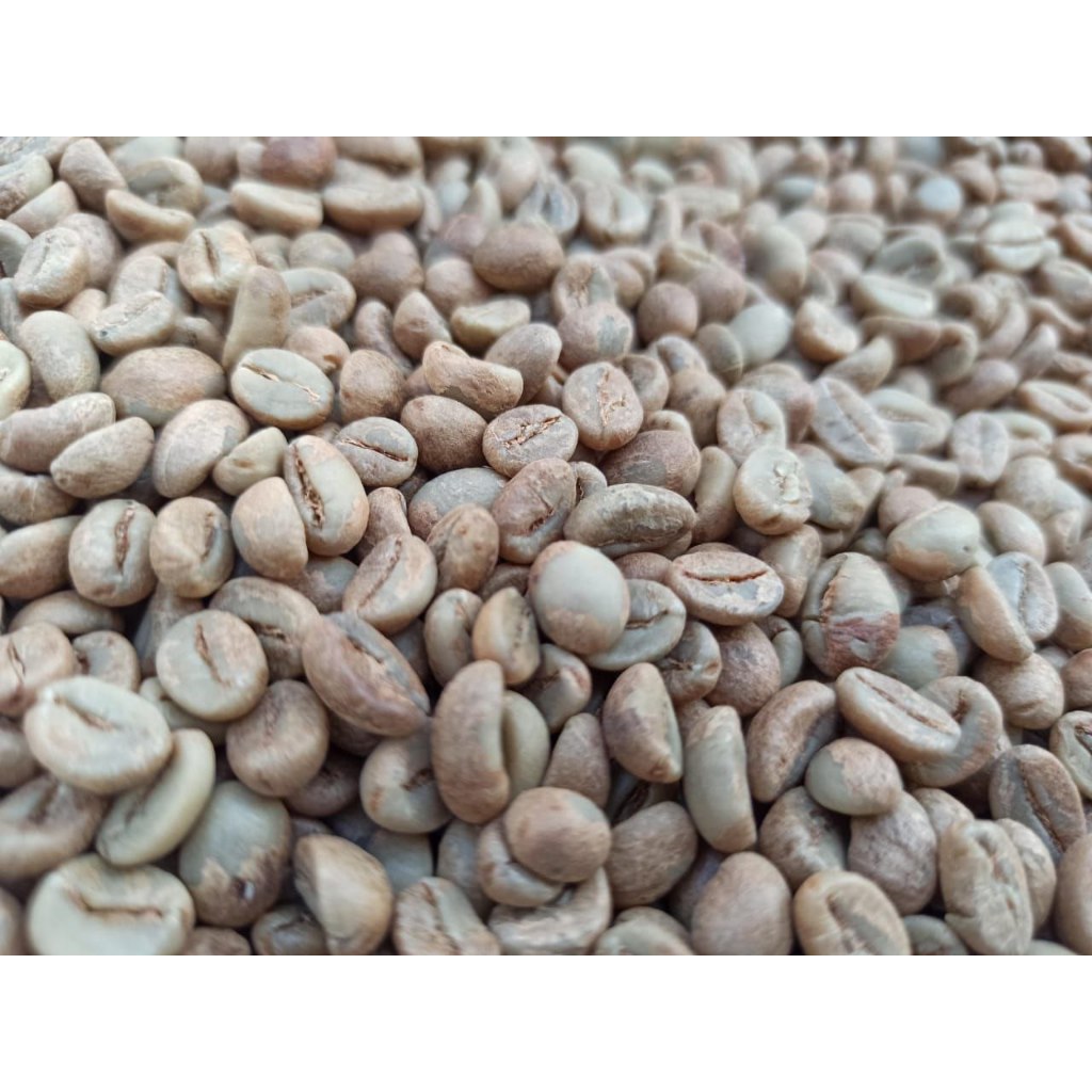 

Biji Mentah Greenbean Robusta Temanggung 1kg