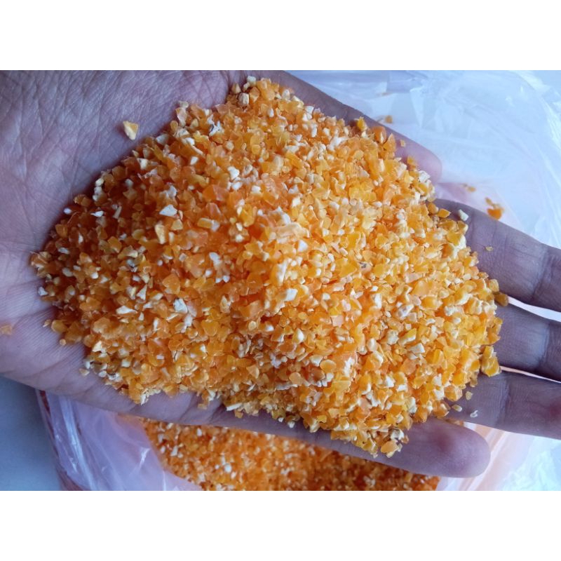 

BERAS JAGUNG MADURA/MAKANAN POKOK/BERSIH TANPA TOMPE/500GR