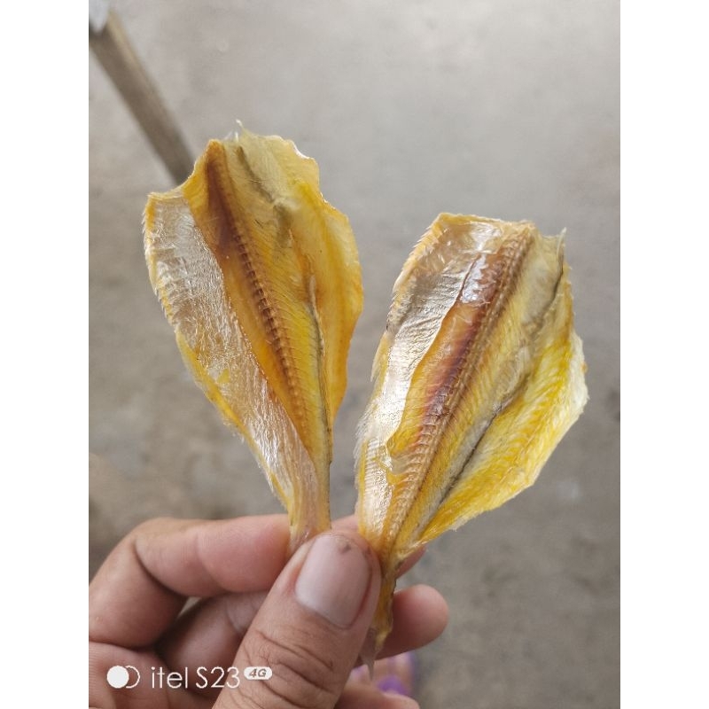 

ikan asin khas kalbar