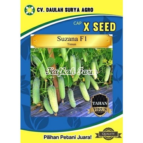 Benih 10 Biji Timun SUZANA F1