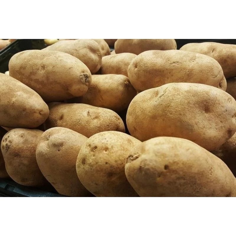 

Kentang 1kg 1000gr