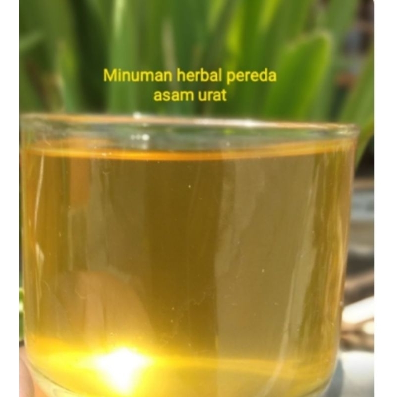 

minuman herbal pereda asam urat