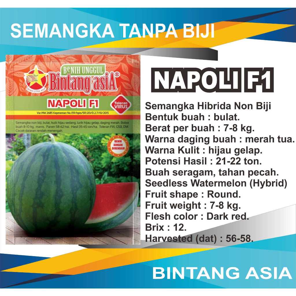 Benih Semangka Tanpa Biji Napoli F1 20gr Bintang Asia Semangka Non Biji, Amara, Madrid F1, Sumo, Lim