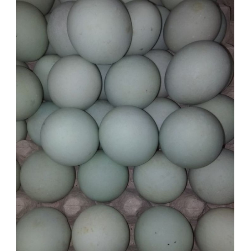 

telor asin mateng 5 pcs/ 5 butir