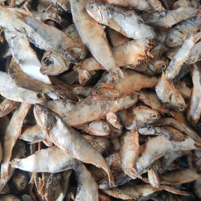 

Ikan terubuk 1 kg