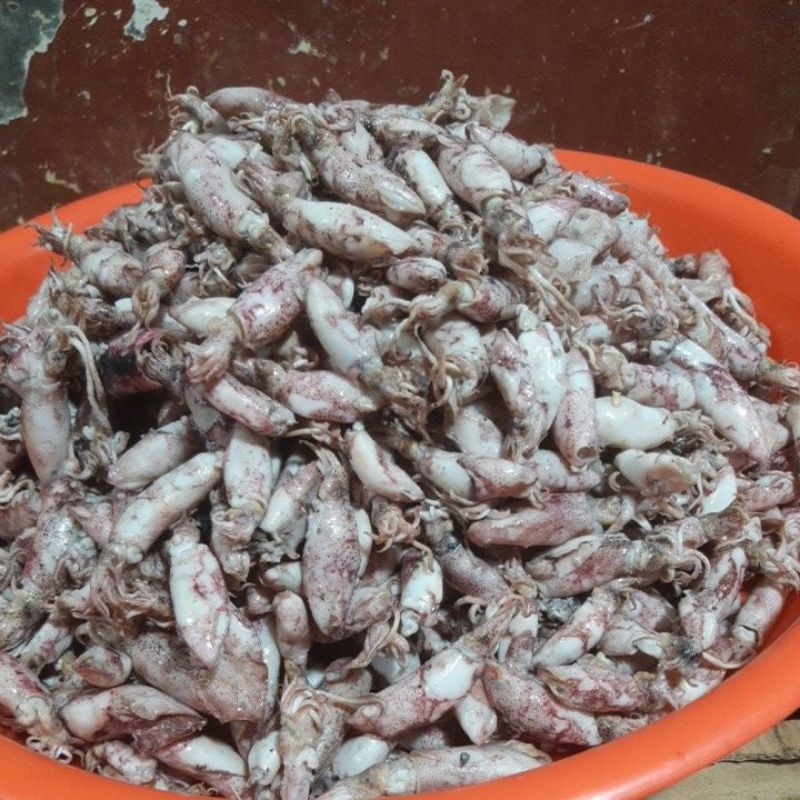 

Baby Cumi Asin 250grm/¼kg