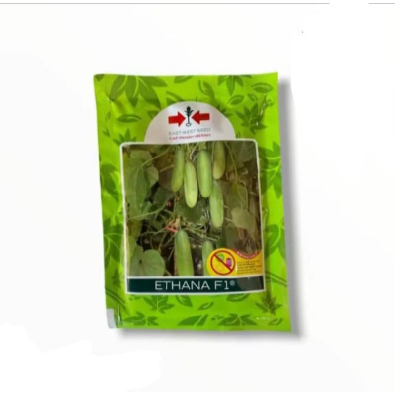 BENIH TIMUN ETHANA F1 800BUTIR  CAP PANAH MERAH