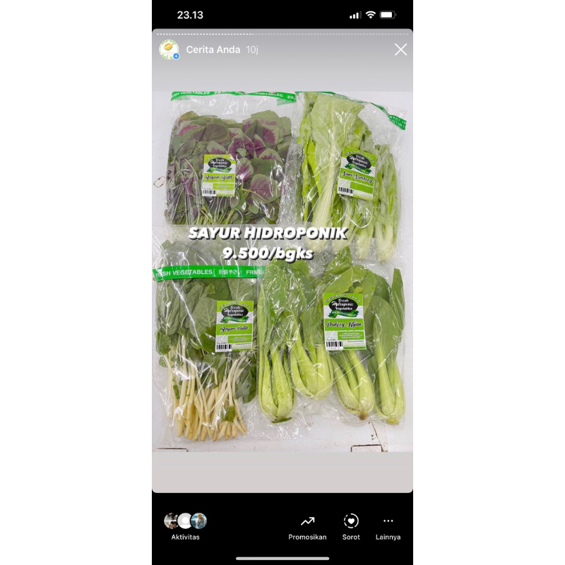 

SAYUR HIDROPONIK AMBIL SENDIRI ATAU ATUR PICKUP