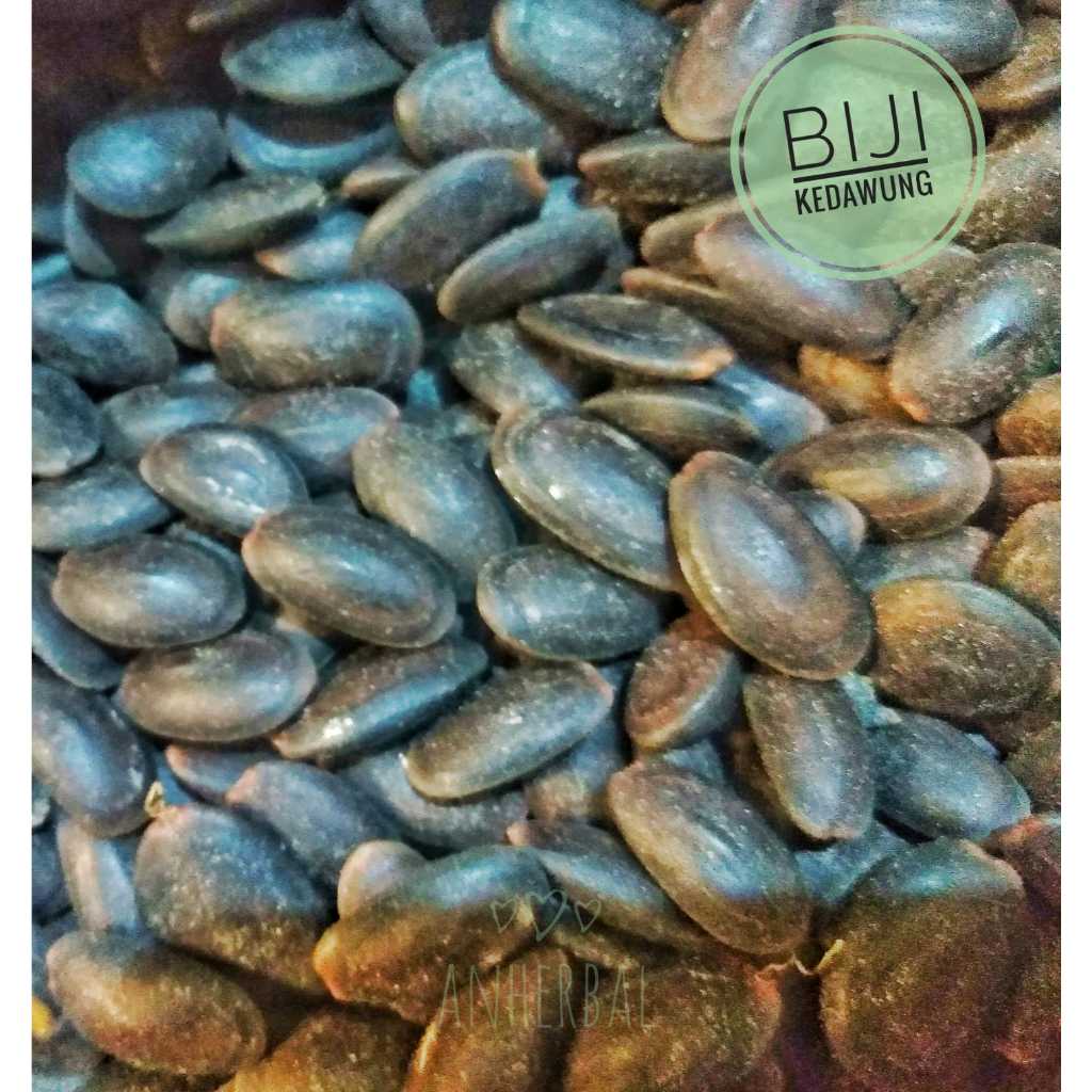 

Biji kedawung 1kg herbal biji kedaung 1kg
