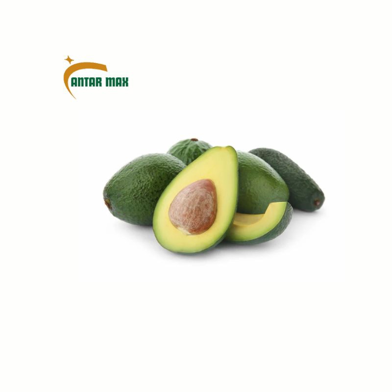 

Alpukat mentega 500g