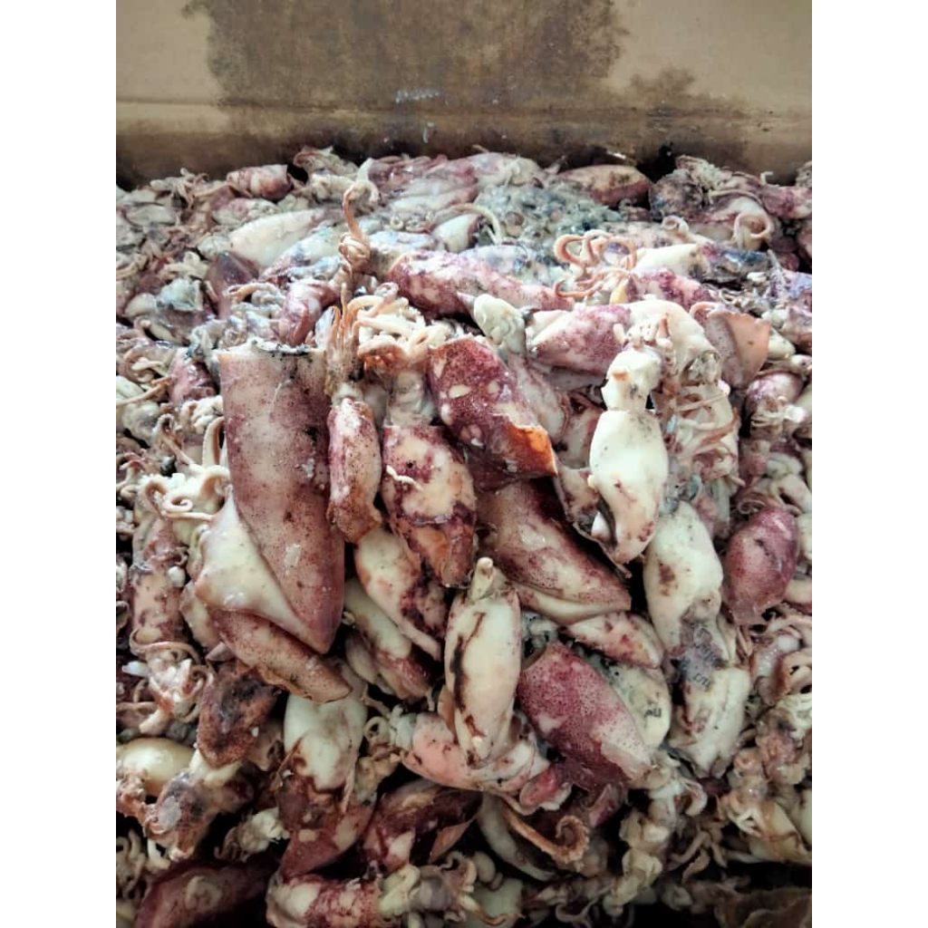 

cumi asin telor/cumi asin rebus/ikan cumi asin 200gr