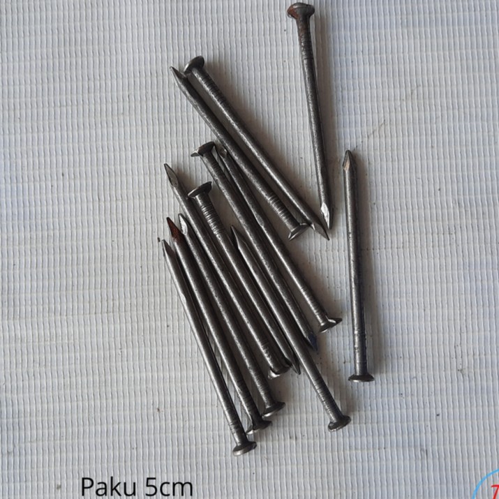 Paku Kayu 5 cm 1/2 KG (500 gram)