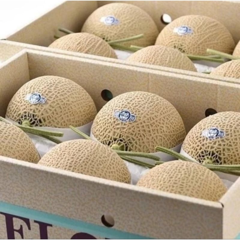 

BUAH MELON MUSK CROWN JEPANG ORIGINAL 1 BOX