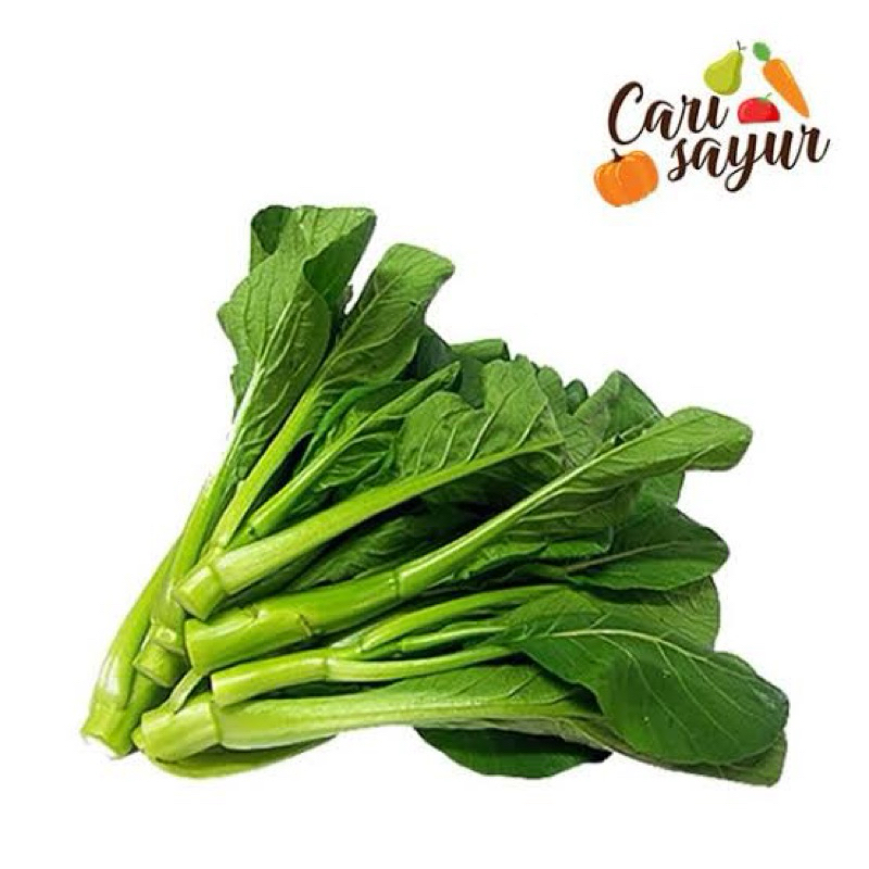 

Hidroponik Sayur Kailan