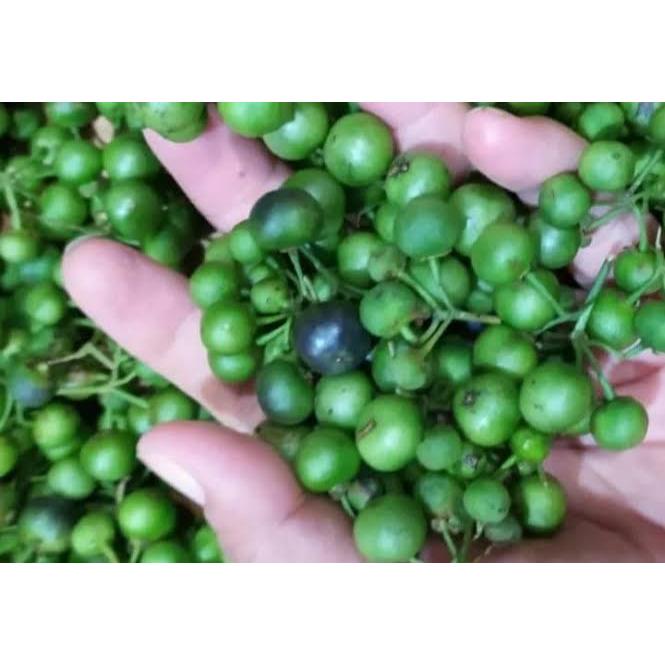

SAYUR LEUNCA / LALAP _ 250gr