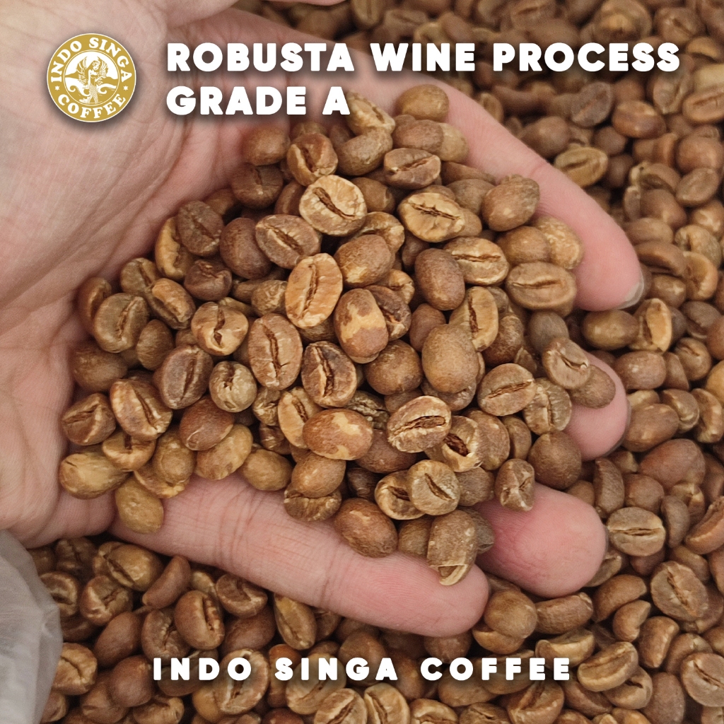 

GREENBEANS Robusta WINE Process Grade A 1KG - Biji Mentah NON Alkohol Kualitas 1