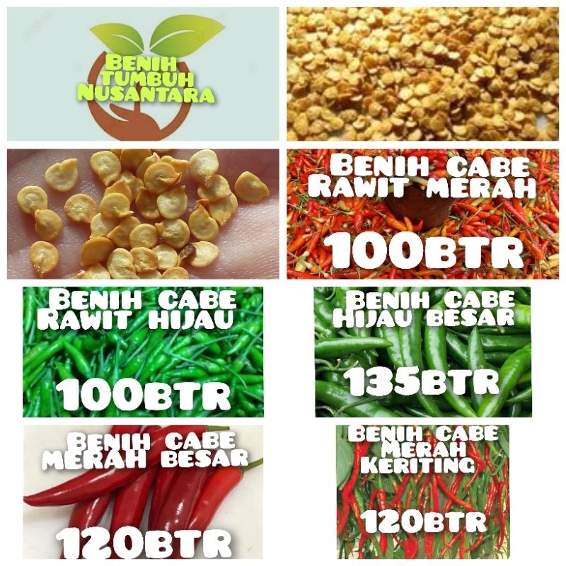 benih cabe merah besar,cabe rawit merah,cabe hijau besar,cabe rawit hijau,cabe merah keriting