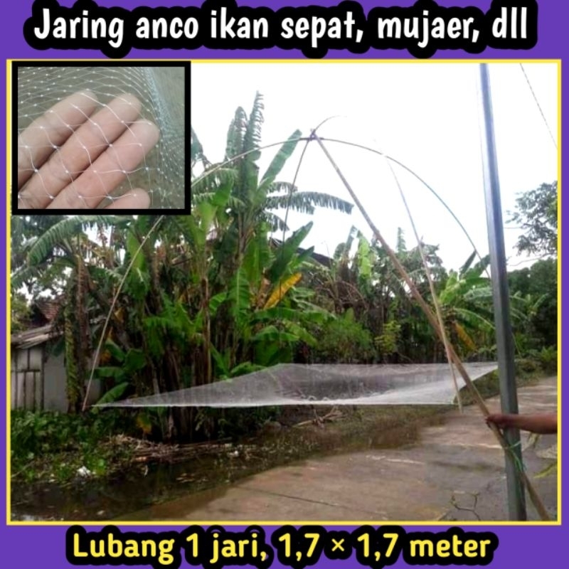Jaring anco ikan sepat & mujaer lubang 1 jari hancau penangkap ikan jaring ikan