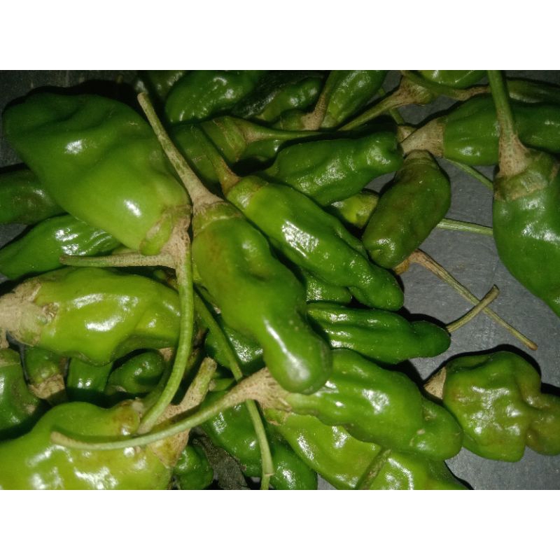 

cabe rawit hijau asli Bali (bukan bibit) 1kg