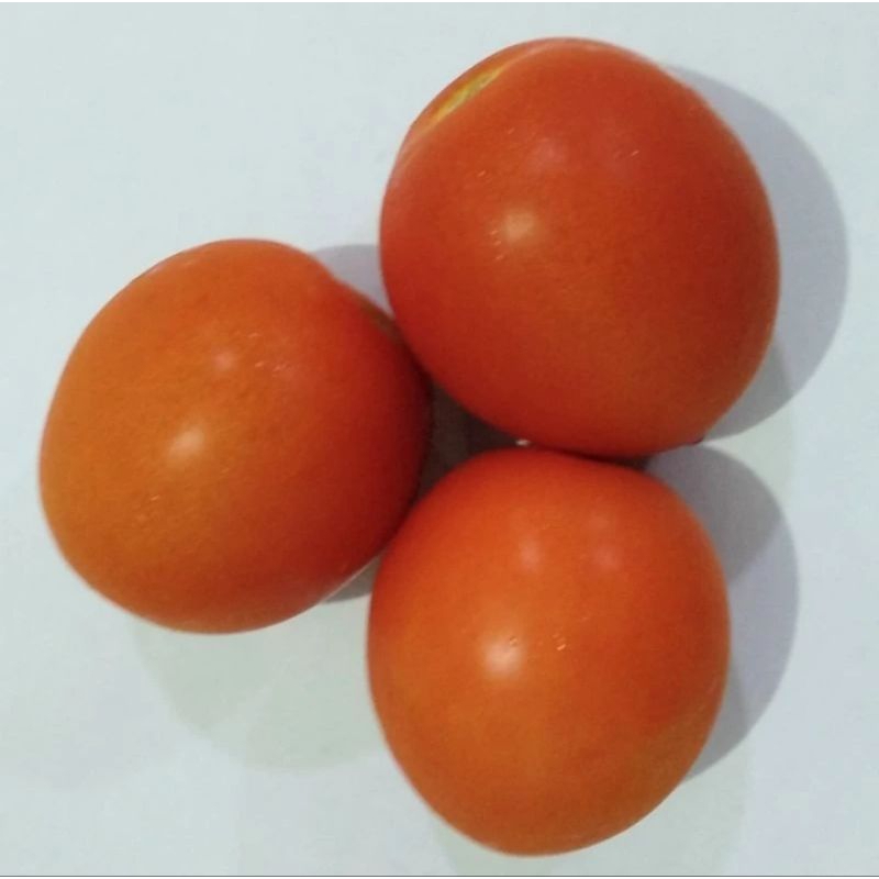 

Sayuran Organik Bandung Serba 5000 Lima Ribu, Sayur Segar,Sayur Fresh,Brokoli Murah,Kol,Tomat Murah