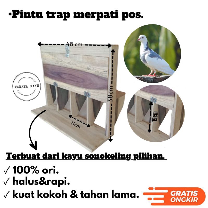 Pintu trap merpati pos