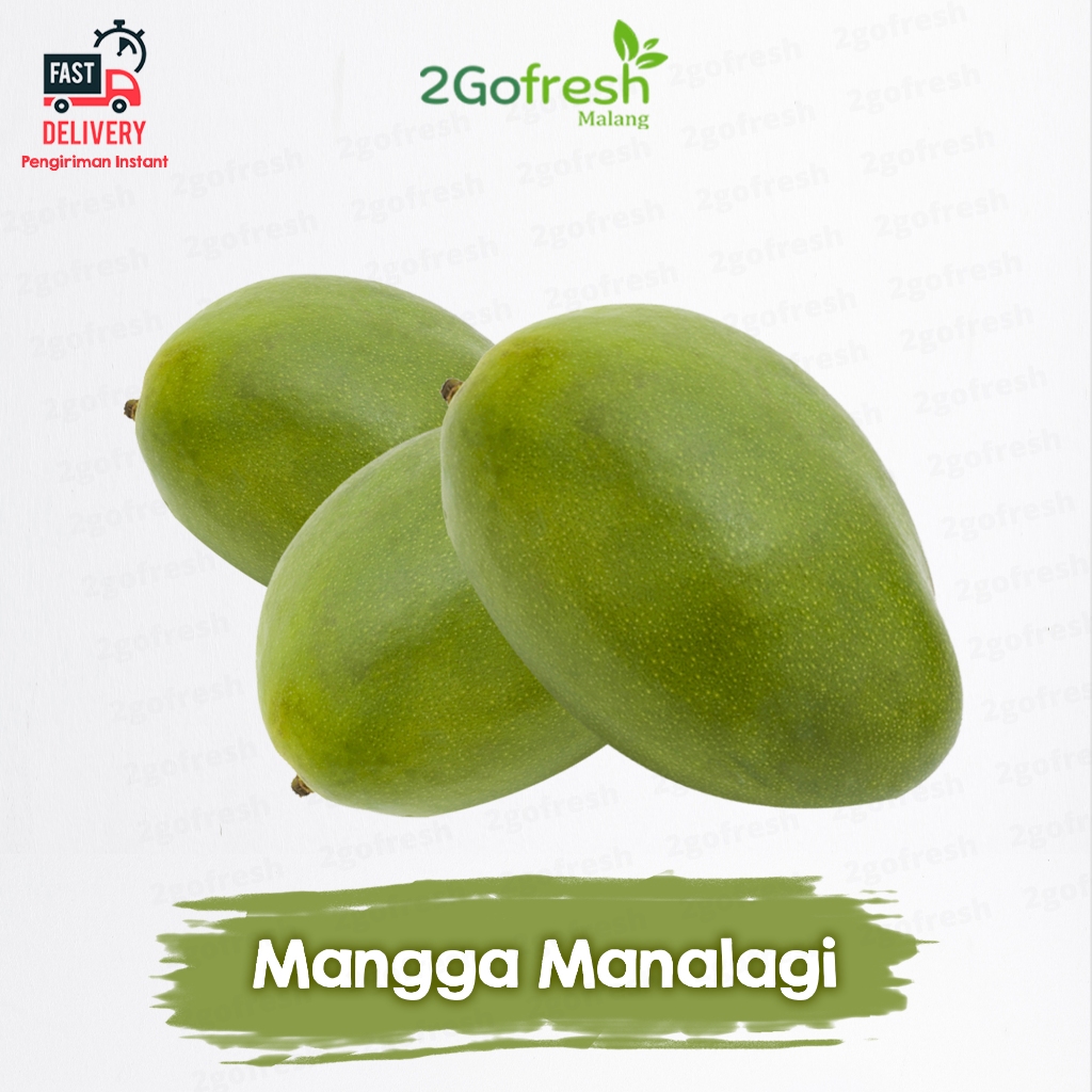 

Buah Mangga Manalagi Fresh Manis - Rempah Sayur Sayuran & Buah Buahan
