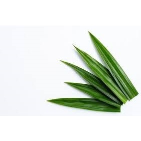 

daun pandan rempah rempah