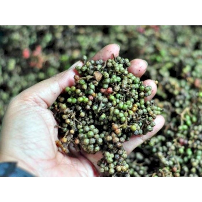 

RB22 Bumbu Andaliman Segar Khas Medan Batak Per Ons