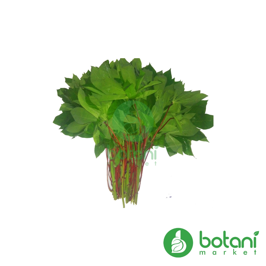 

Daun Singkong 1 Ikat [BJB - KALSEL] *INSTANT ALLOWED*