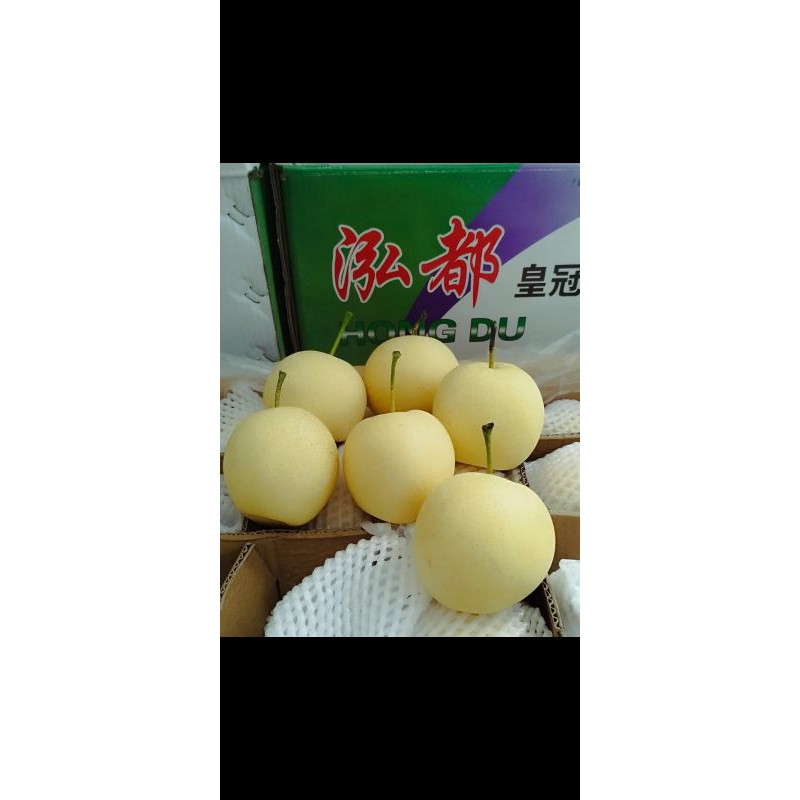 

Pear Century (berat 450gr-2050gr)