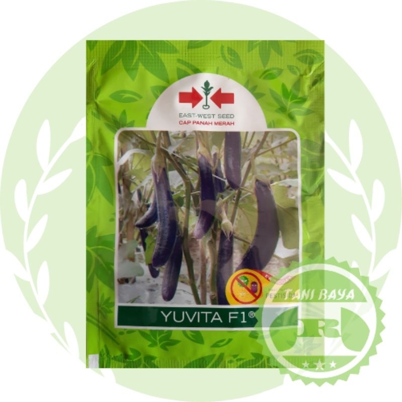 Terong Ungu Yuvita F1 1100 Butir