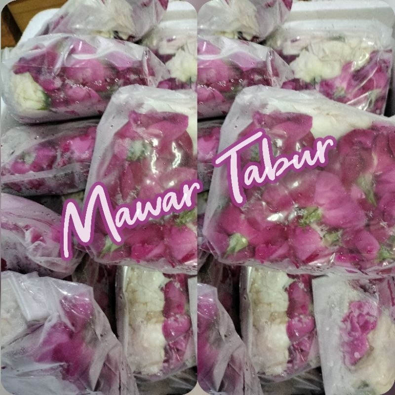 Bunga Mawar wangi, mawar tabur kampung mawar pink-putih harum dan segar